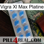 Vigra Xl Max Platinum 22
